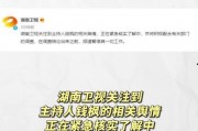 娱乐圈吃瓜运营模式图片,幕后真相与流量密码